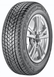Pneu GT Radial WINTER PRO 2 EVO 205/55 R17 TL XL M+S 3PMSF 95H Zimní