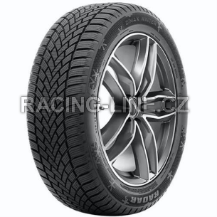 Pneu Radar DIMAX WINTER 165/70 R14 TL M+S 3PMSF 81T Zimní