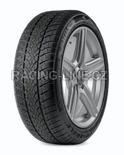 Pneu Triangle WINTERX TW401 165/60 R15 TL XL M+S 3PMSF 81T Zimní