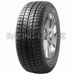 Pneu Wanli S2093 SNOWGRIP 205/60 R16 TL C M+S 3PMSF 100T Zimní